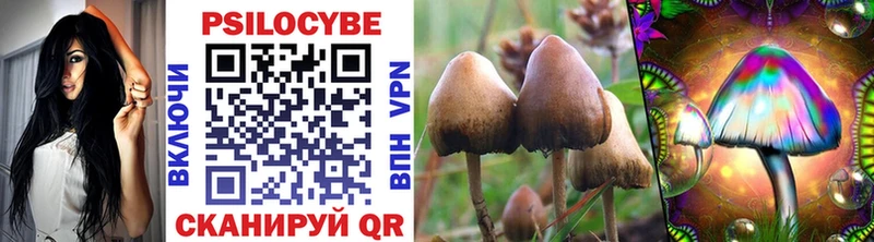 Псилоцибиновые грибы прущие грибы  Вичуга 