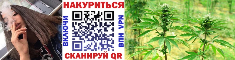 где продают наркотики Вичуга Конопля VHQ